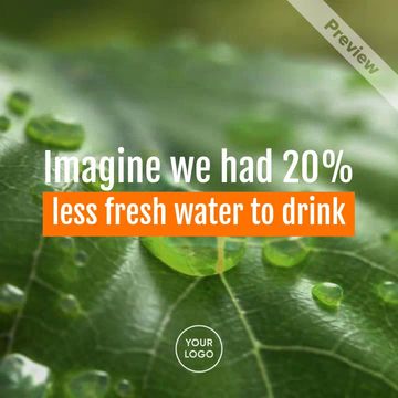 World Rainforest Day